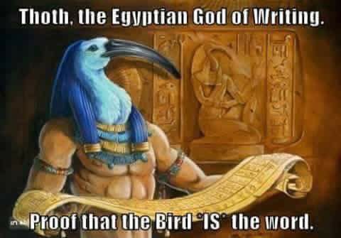 bird is the word